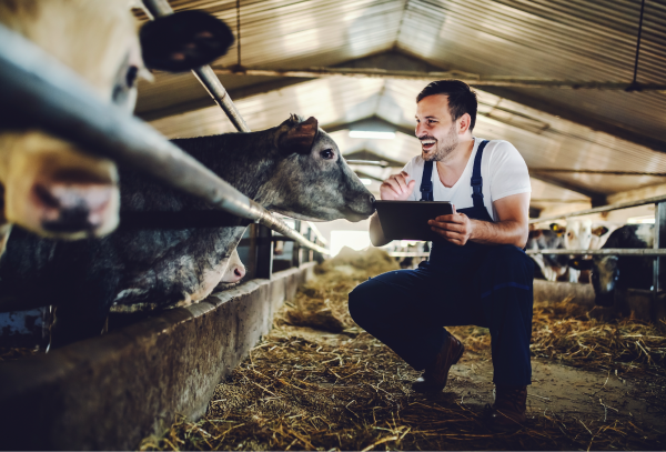 Increase animal welfare and boost efficiency of your operations with custom computer vision solutions