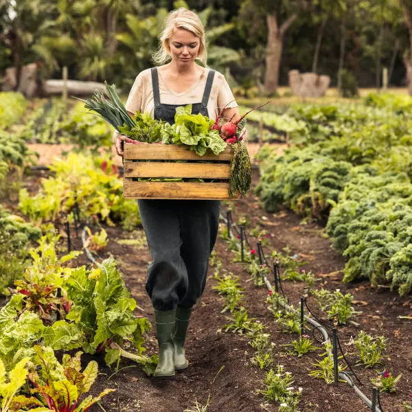 Dynamic pricing in agribusiness